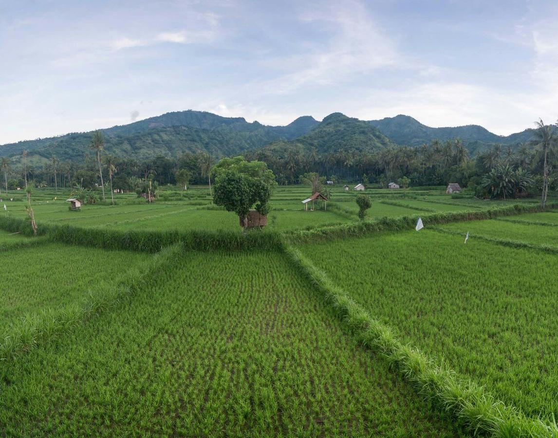 Tanaya Homestay Amed  Bagian luar foto